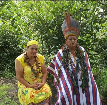 the shaman ayahuasca retreat