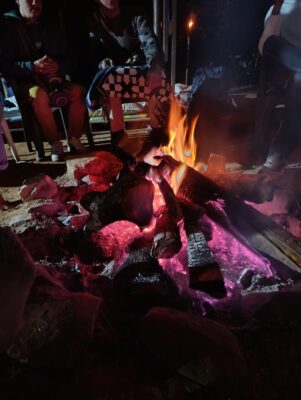 the fire ayahuasca retreat