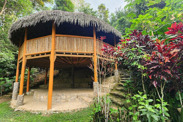 putumayo retreat ayahuasca