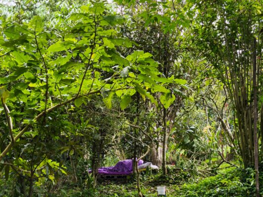 bunkbed ayahuasca retreat