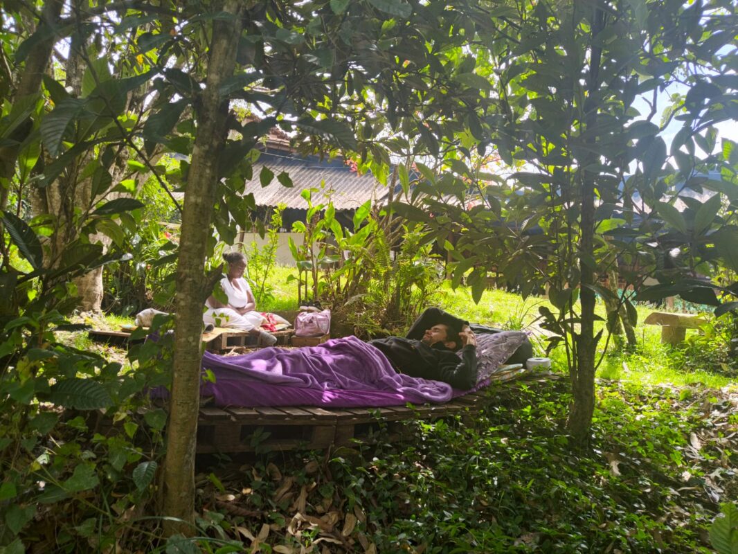 Ayahuasca ceremony in colombia