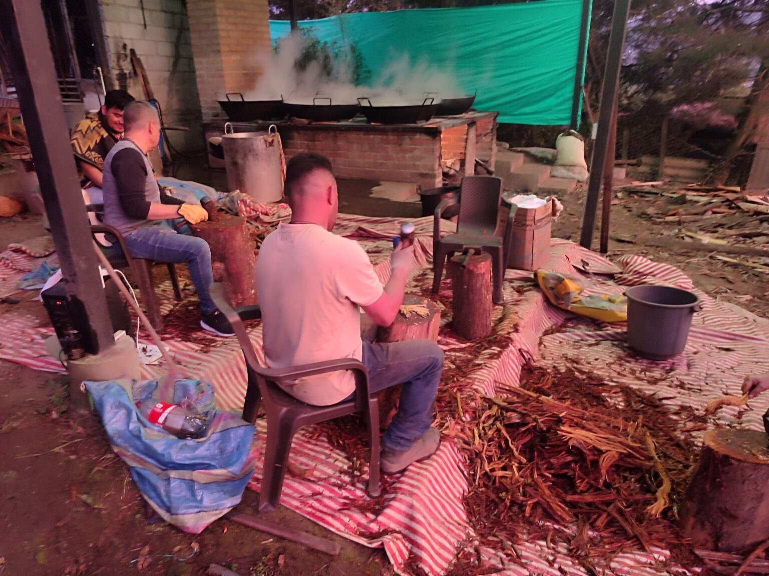 ayahuasca preparation, near medellin at the ayahuasca ceremony